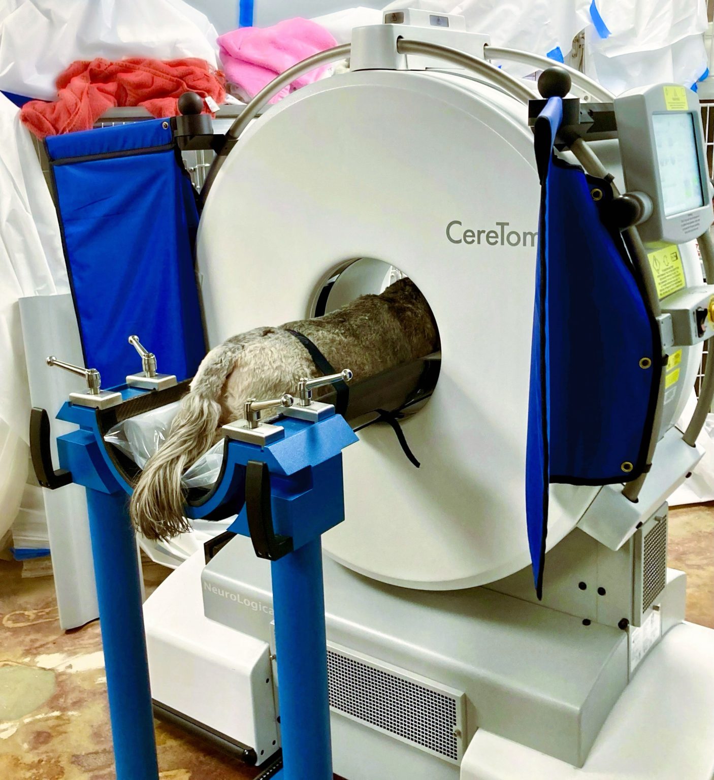 Peninsula Pet Hospital | Computed Tomography Scans