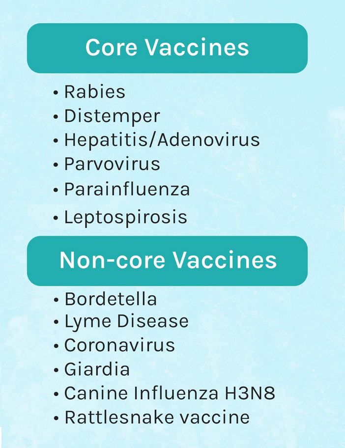 Vaccines for Dogs